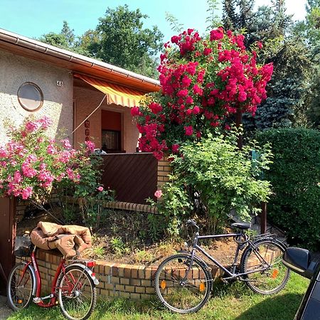 Gruener Bungalow Am Kiebitzsee Villa Falkenburg Dış mekan fotoğraf