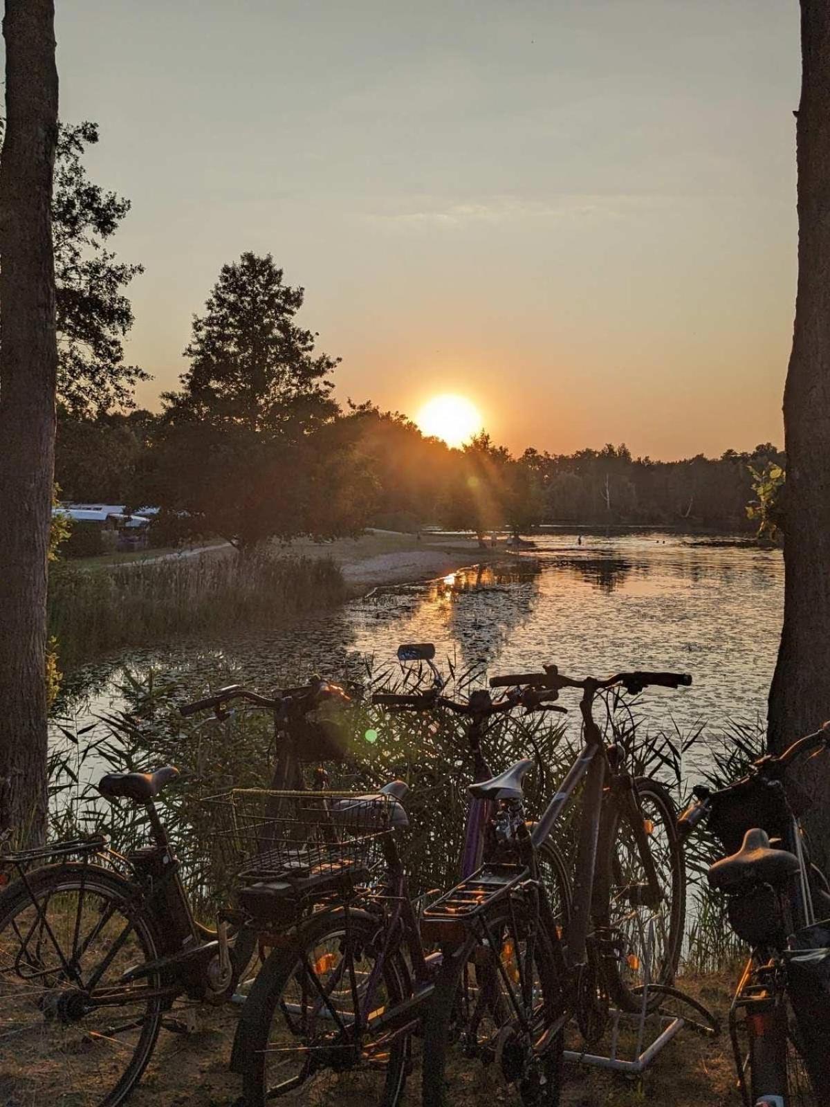 Gruener Bungalow Am Kiebitzsee Villa Falkenburg Dış mekan fotoğraf