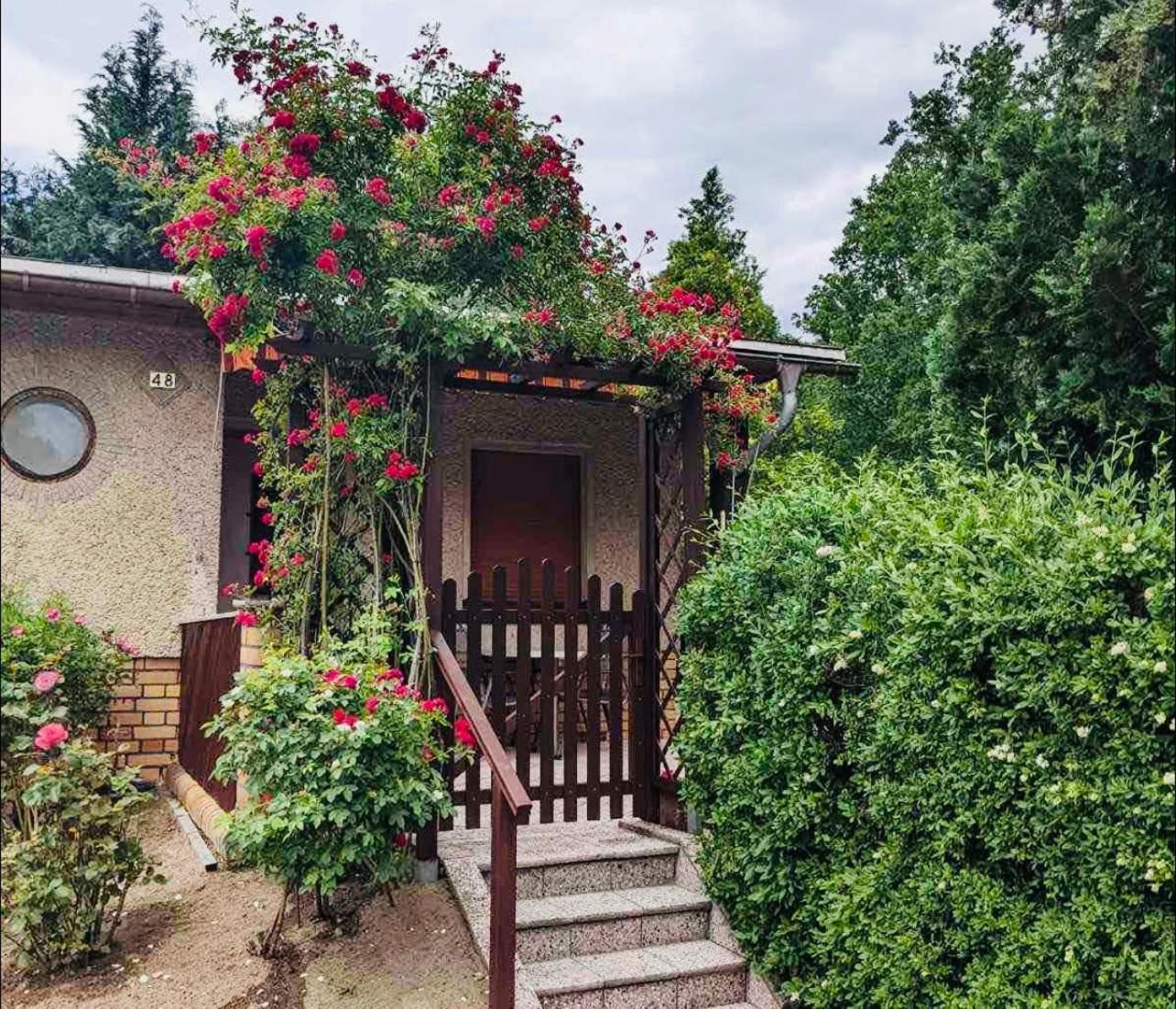 Gruener Bungalow Am Kiebitzsee Villa Falkenburg Dış mekan fotoğraf