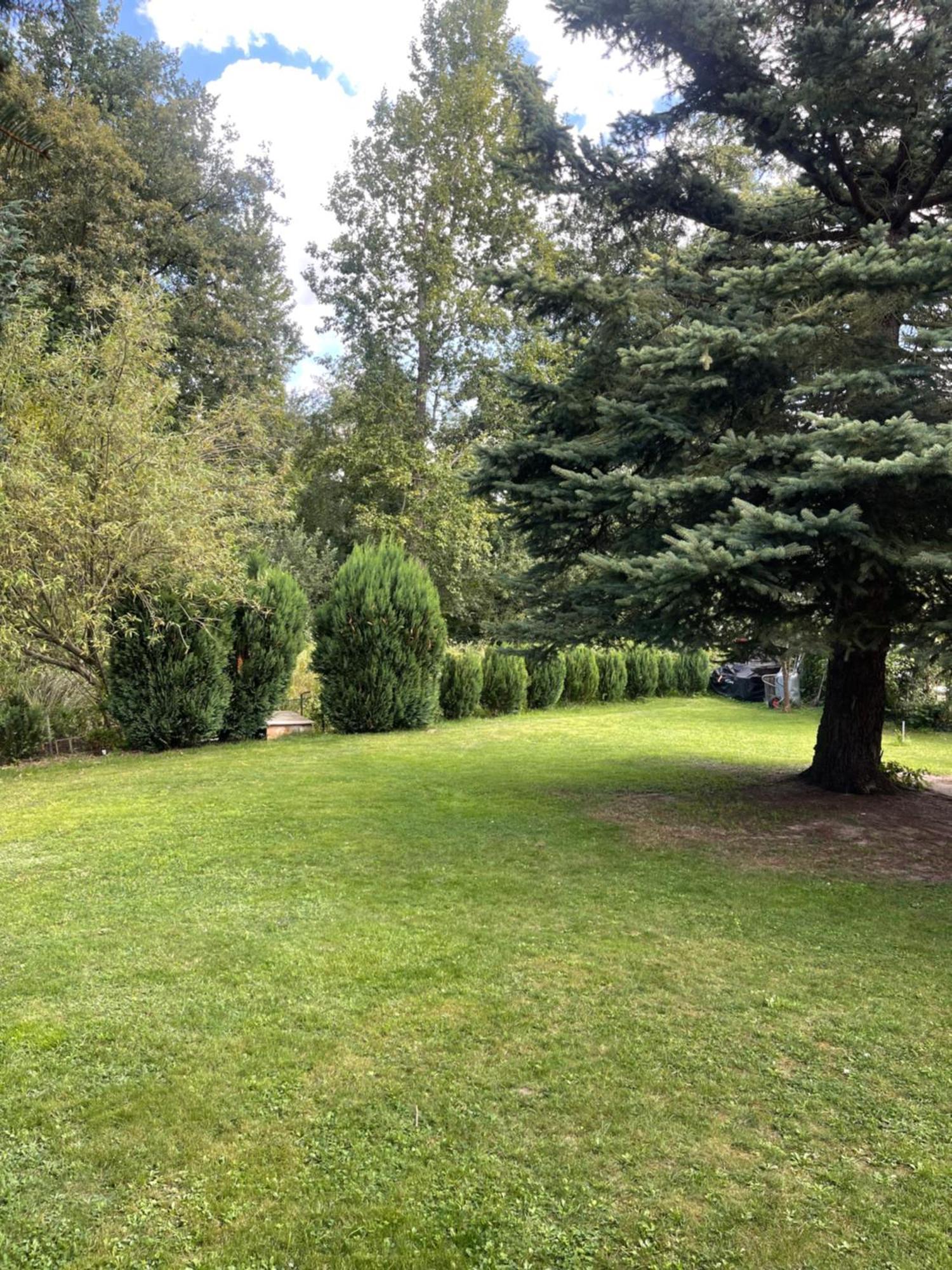 Gruener Bungalow Am Kiebitzsee Villa Falkenburg Dış mekan fotoğraf